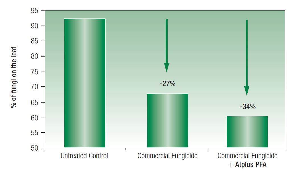  Gráfico que muestra que el aditivo Atplus PFA aumenta el rendimiento de los fungicidas